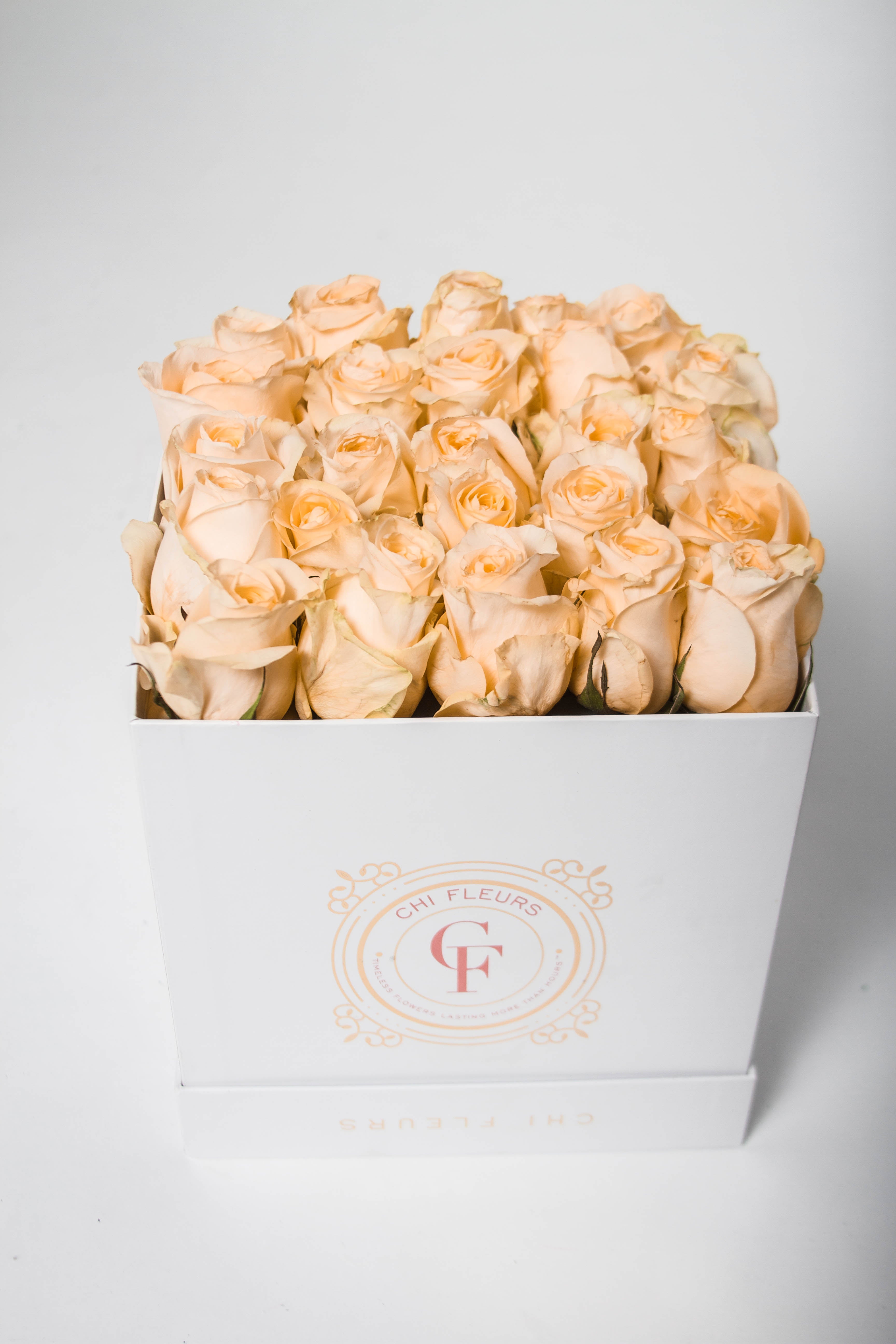 Blooming CHAMPAGNE