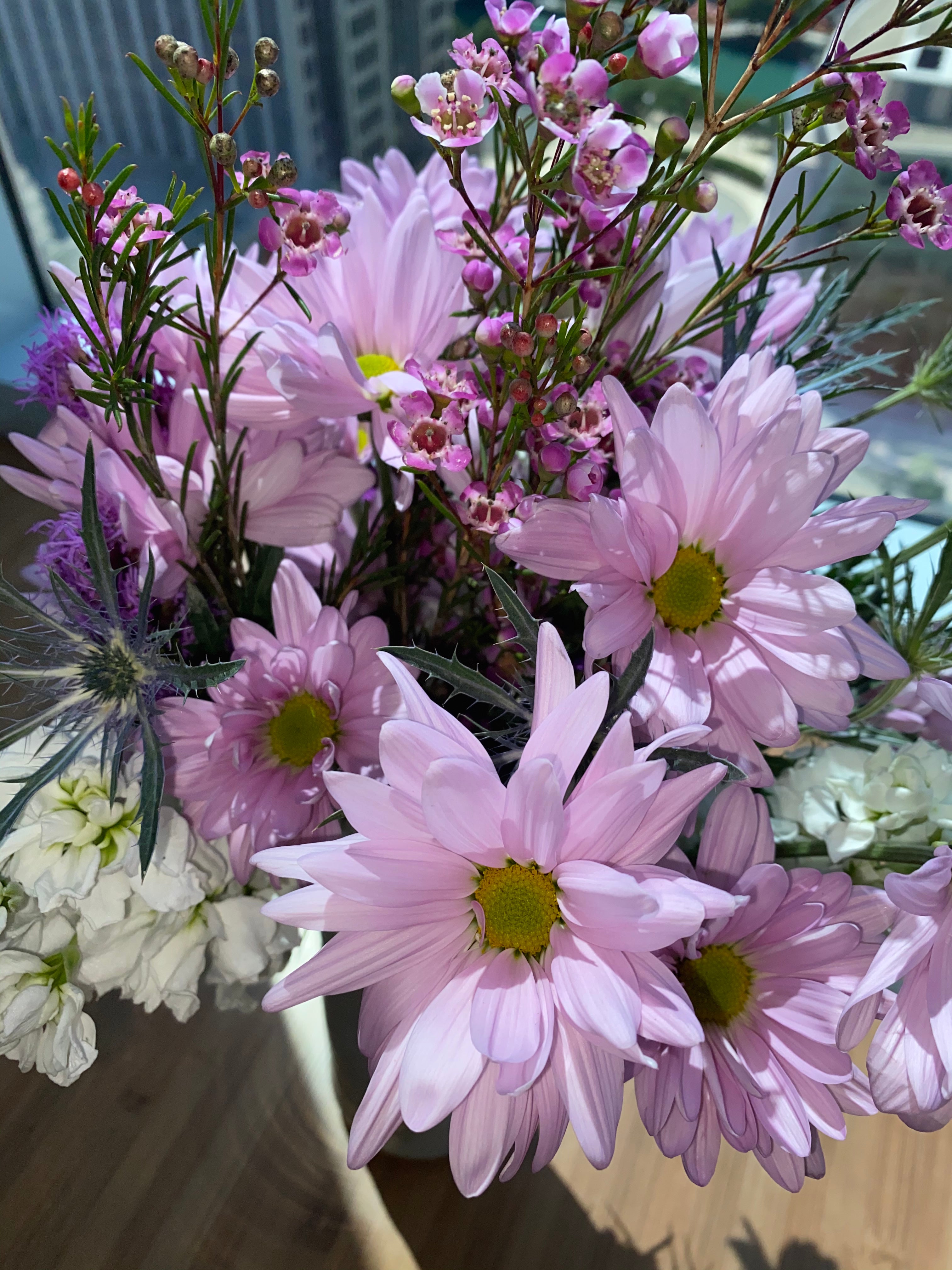 Blooming (K)