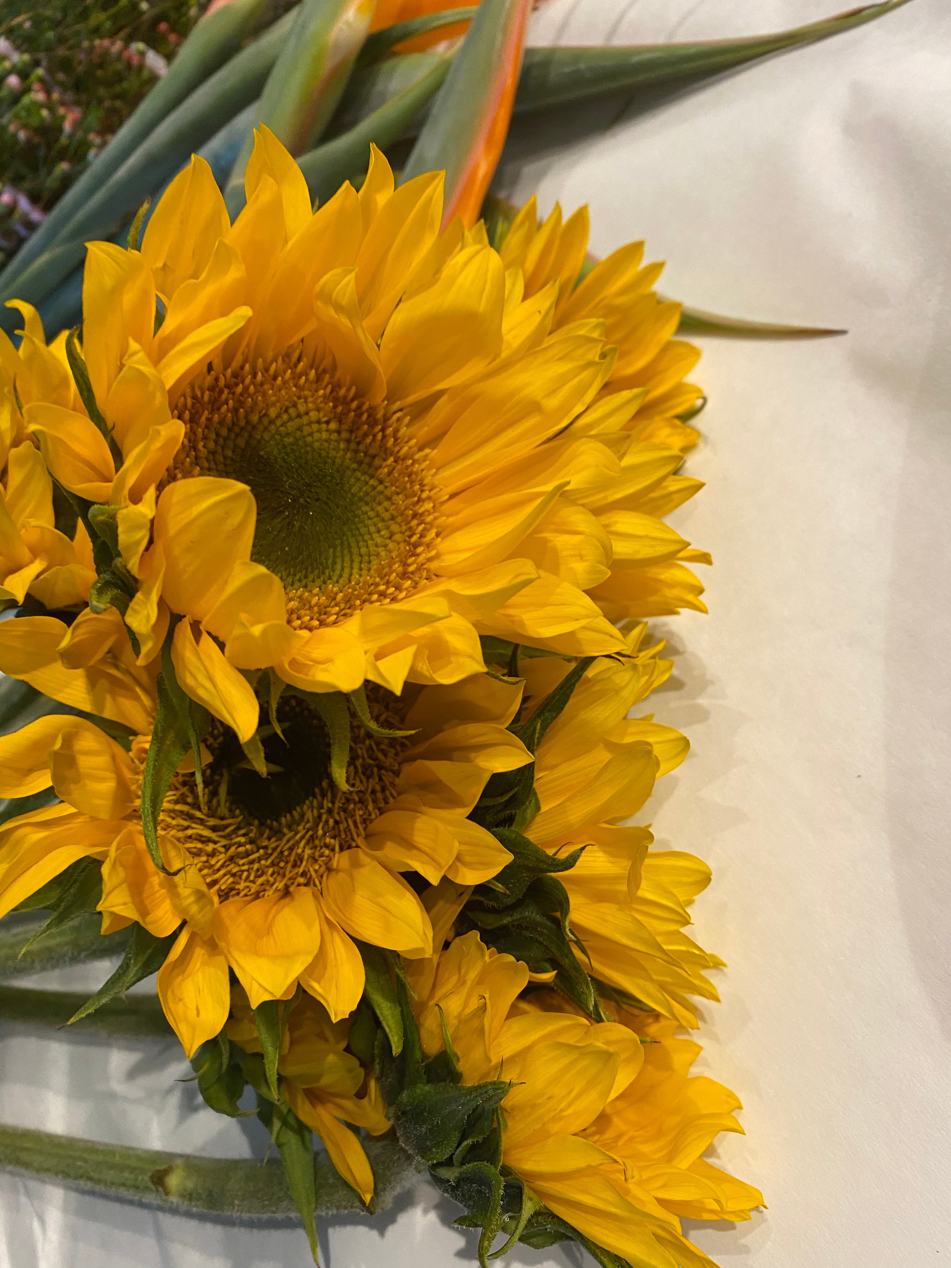 Blooming (Happiness)